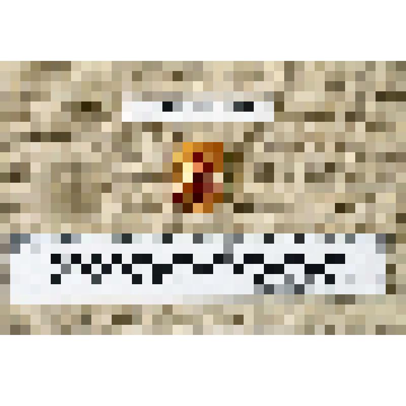 Значок "Дружинник"