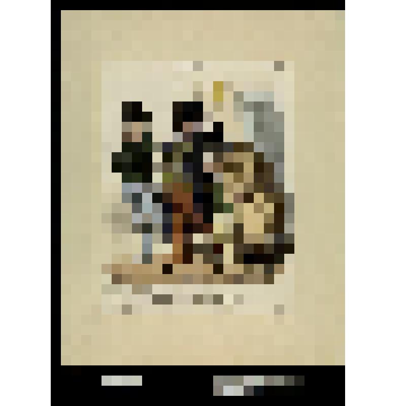 Les journaux Napoléoniens sortant de l'Assemblée Nationale 