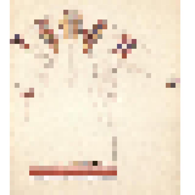 Зарисовка свадебной рубахи. Из альбома "Орнамент русской народной женской одежды. Женская одежда средне-русской полосы. Отдельные предметы одежды и детали орнамента. Часть III."