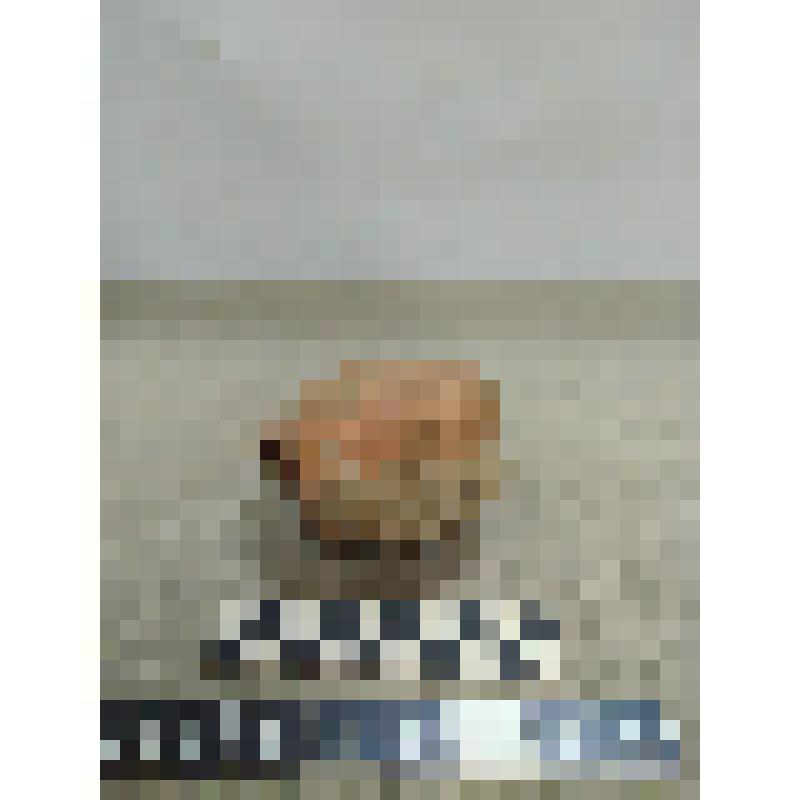 Игрушки коника фрагмент