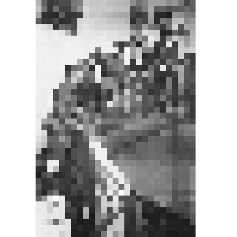 Большой дворец. Дубовая лестница. Посетители рассматривают резьбу на перилах