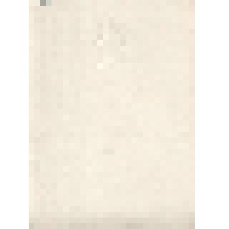 Документ. Грамота пионерской организации за работу по маршруту в "Страну знаний"  от Ленинградского Совета Всесоюзной пионерской организации