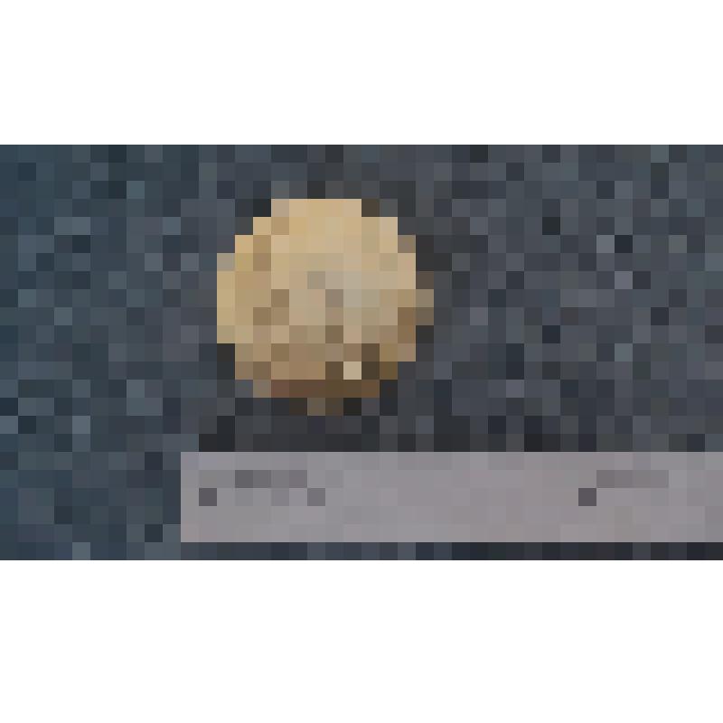 Медаль лыжный пробег "Европа-Азия" Лобынцева Николая Яковлевича