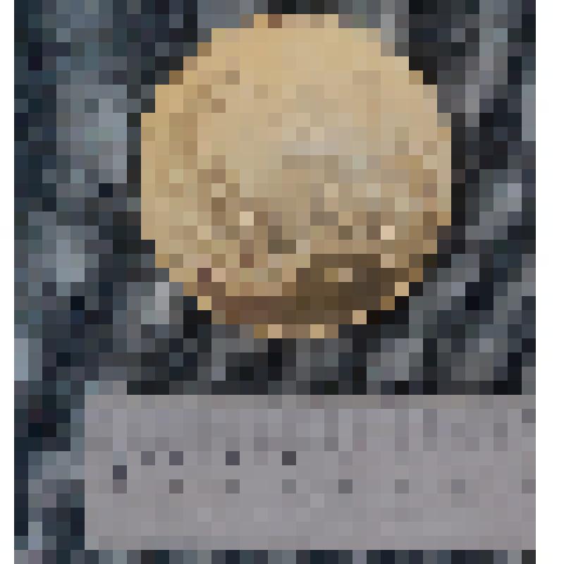 Медаль лыжный пробег "Европа-Азия" Лобынцева Николая Яковлевича