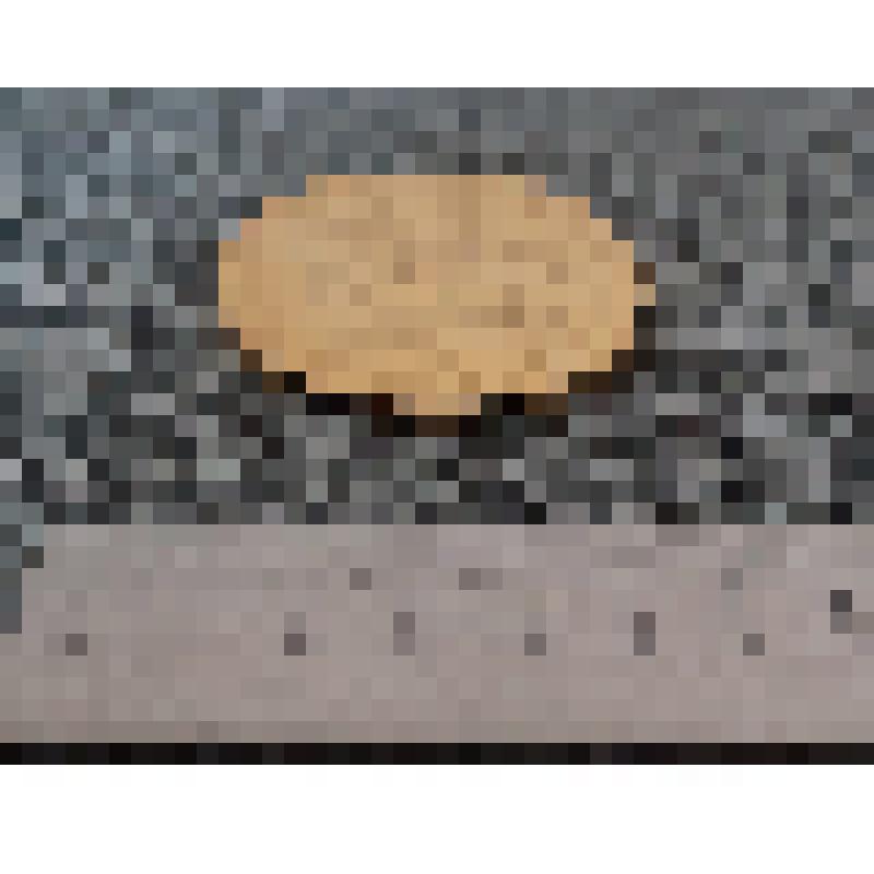 Медаль лыжный пробег "Европа-Азия" Лобынцева Николая Яковлевича