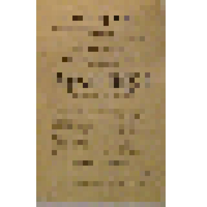 Программа с исполнителями. "Мартын Боруля". Александровск; Любители