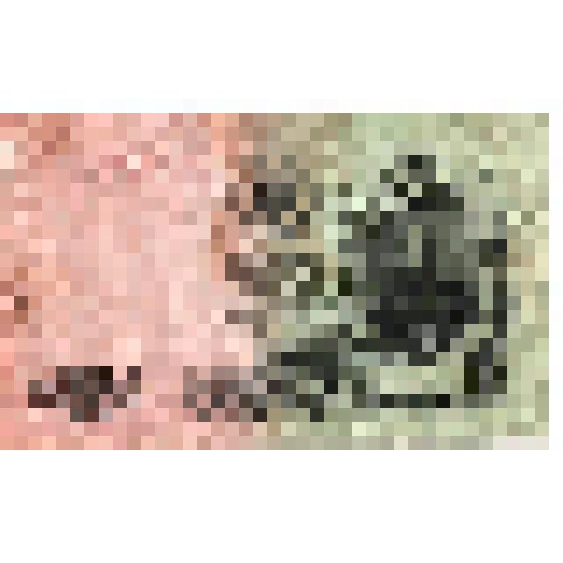 Билет кредитный, 25 рублей, 1909г., ДЧ35938