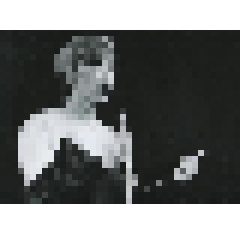 Фотография. Актриса - Е. Васильева - стоит, почти поясно, 3/4 влево, руки согнуты, в правой - микрофон, левая - сжата в кулак. "Письма к незнакомке" (пост. Е. Еланская, худ. В. Солдатов). Москва, Театр-студия "Сфера"