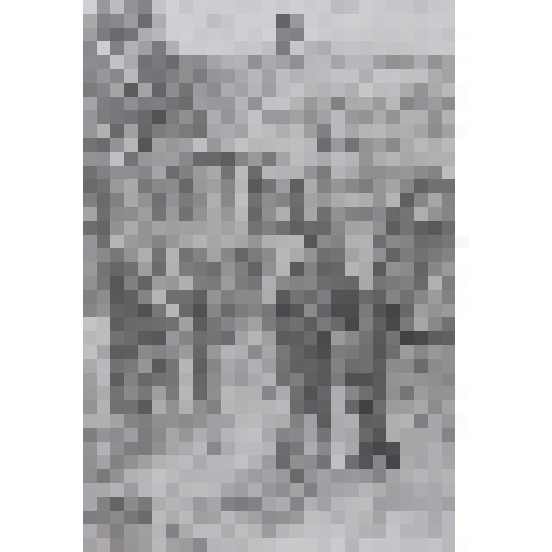 «Мои друзья»