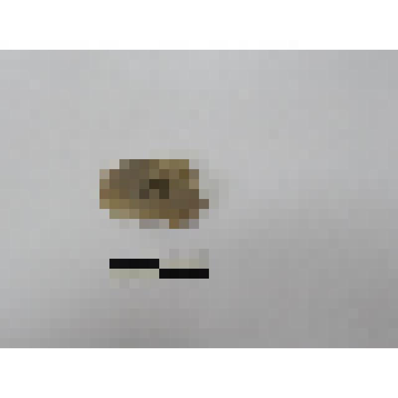 Скол