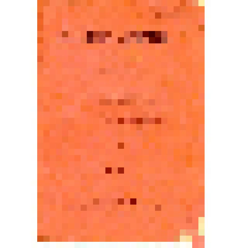 Брошюра. В защиту личности. Педагогические идеи Н.А.Добролюбова