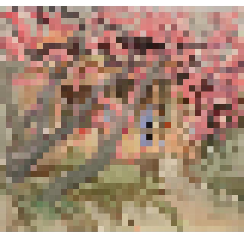 Деревья в цвету. Рисунок