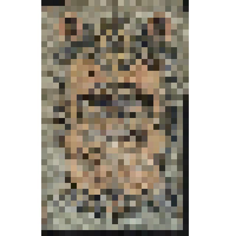 Государственный кредитный билет