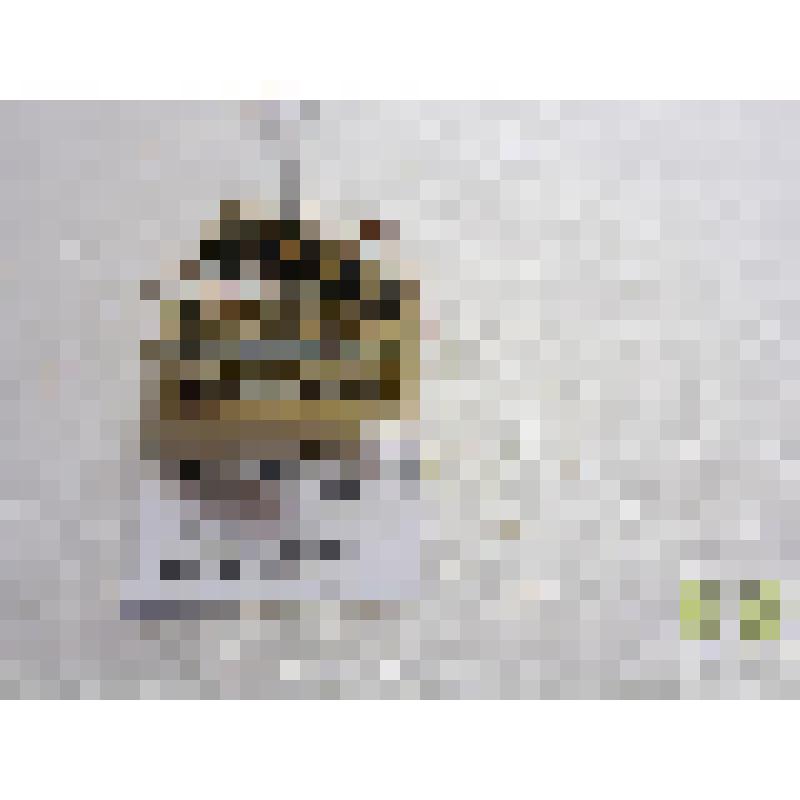 Странгалия кривоногая (Stranqalia arcuata)