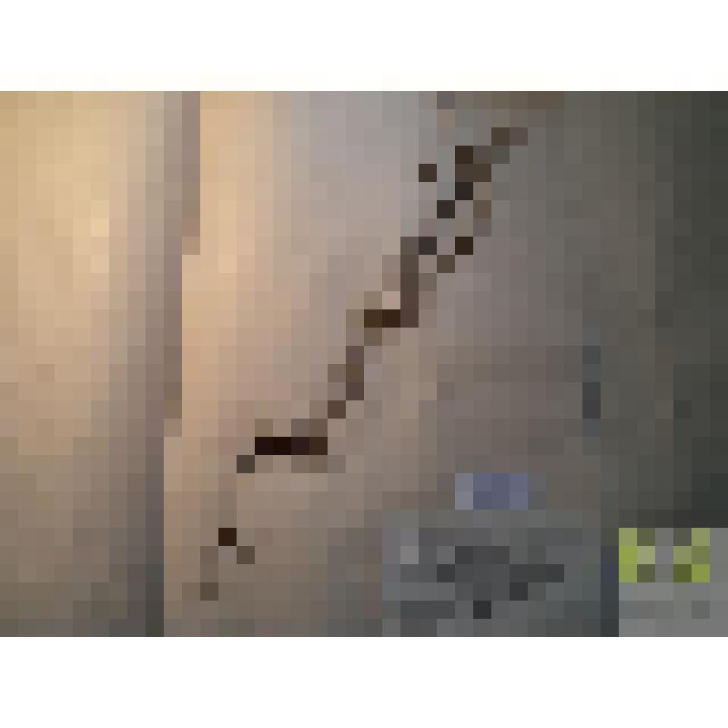 Лапчатка серебристая (Potentilla argentea L.)