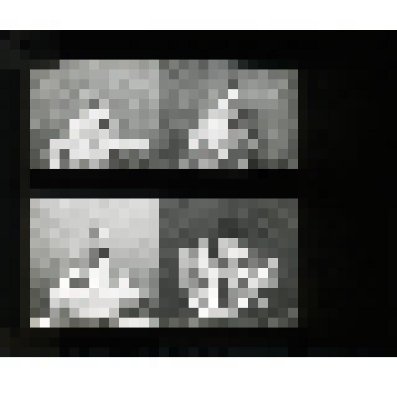 Диапозитив стеклянный черно-белый: изображение четырех царских шапок