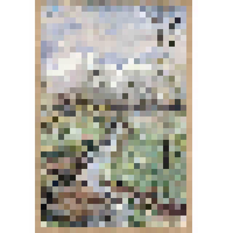 Карточка почтовая. Серия Oilette