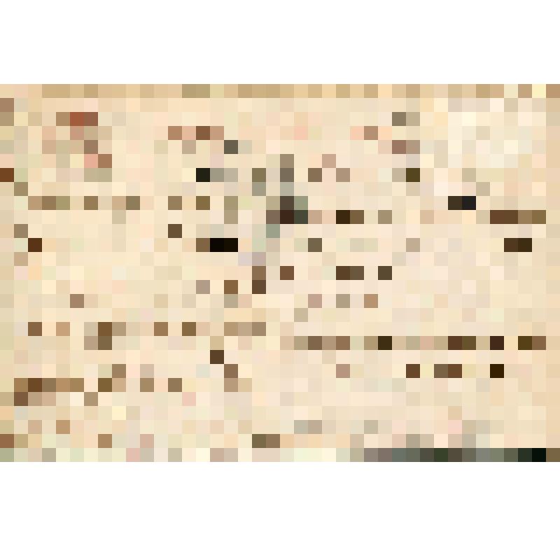 Карточка почтовая. Серия Oilette