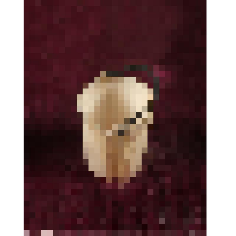 Коробка с костяными бирюльками: ведро