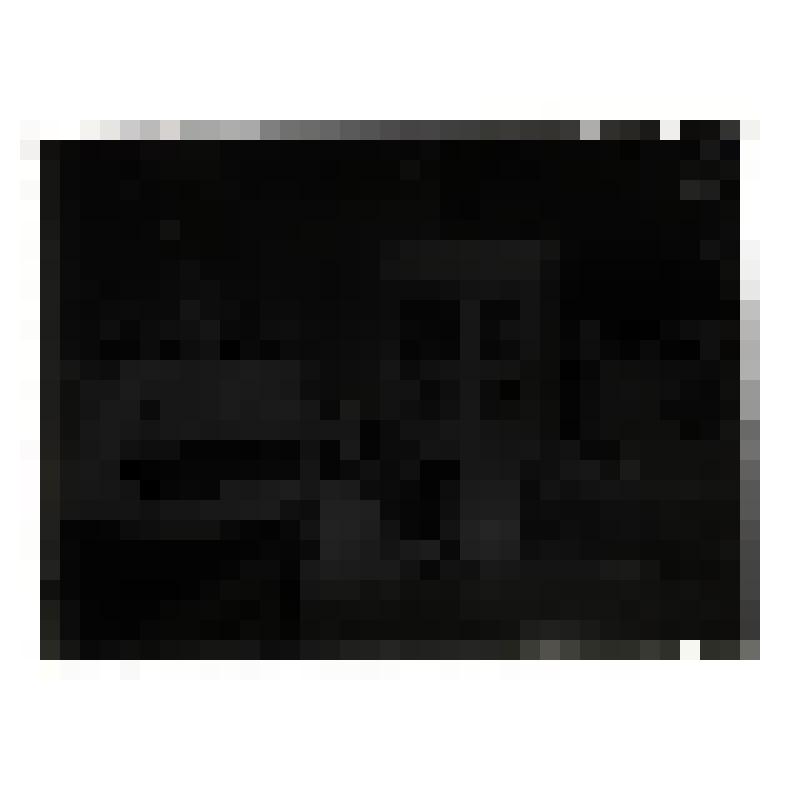 Квартира Н.А. Островского в Москве