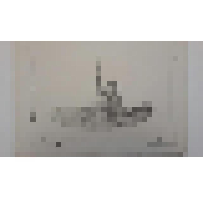 Храм Воскресения Христова ("Спас на Крови"), наб. канала Грибоедова.(Екатериниский), 26. 1883-1907 гг. г. Санкт-Петербург (Ленинград). Храм Воскресения Христова ("Спас на Крови"). Парланд Альфред Александрович. Второй конкурс проекта храма.  Общий вид (ли