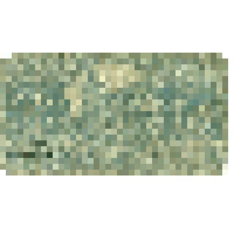 Бумажный денежный знак 10 пфеннигов 1920 года, Кёльн