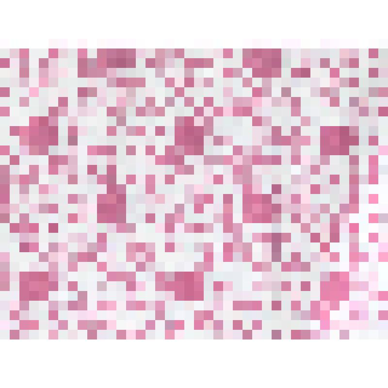 Образец ситца набивного, в альбоме