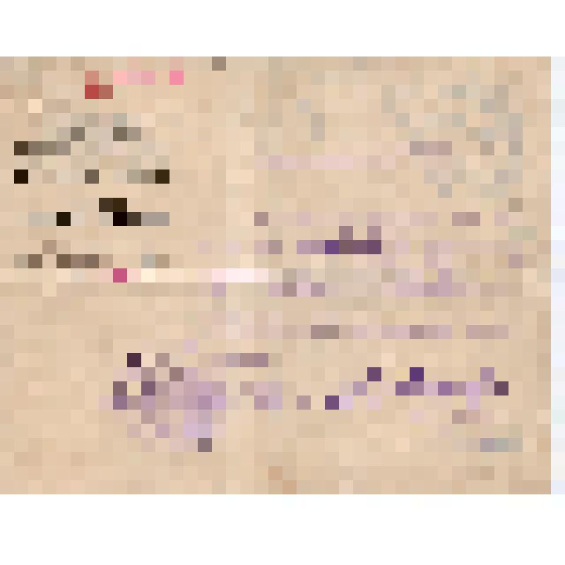 Удостоверение NС-1934 Макарова, командированного в Воронежскую группу заводов N8 и 9 в качестве уполномоченного СНК СССР по ликвидации прорывов в цементной и огнеупорной промышленности (докум. на бланке СНК СССР и за подписью председателя СНК В.М. Молотов