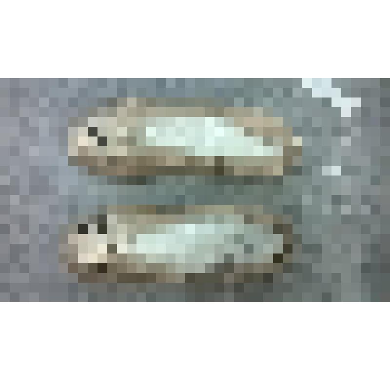 Пуанты  Семизоровой Н.Л. к партии Авроры. С автографом. "Спящая красавица". Чайковский П.; 1973, балетм. Петипа М.И., Григорович Ю.Н. (редакция), худ. Вирсаладзе С.Б