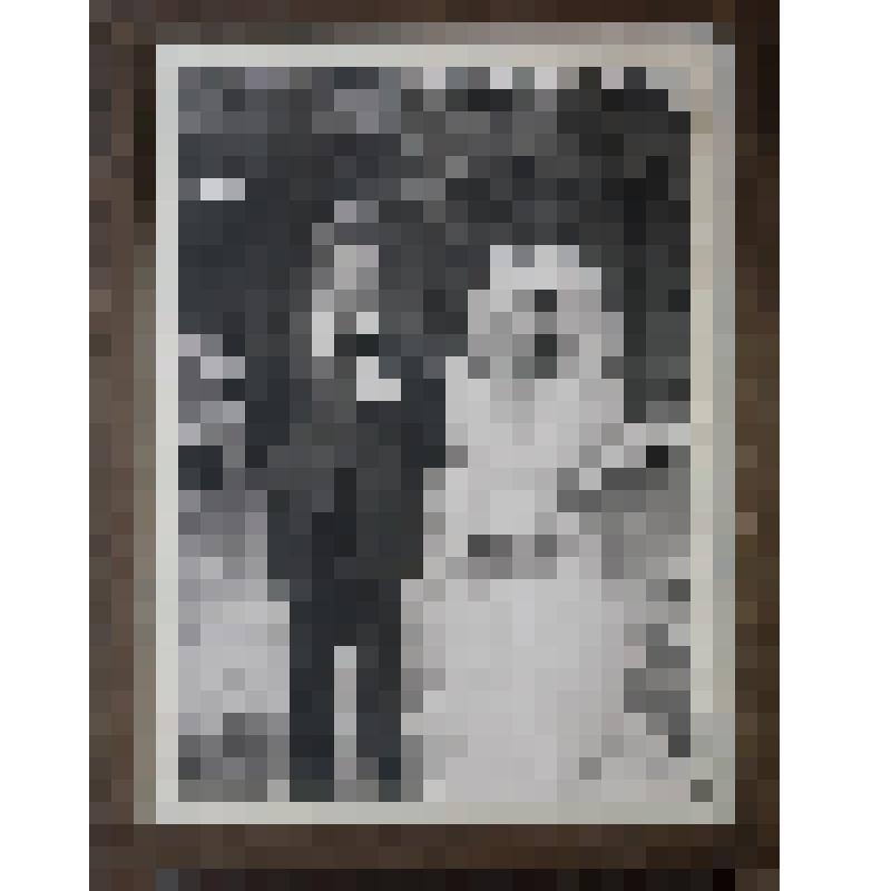 Фото. Марийская свадьба. Молодожены