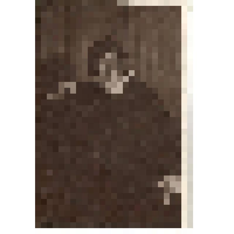 Фотография (пересъемка). Давыдов В.Н. в роли Расплюева. "Свадьба Кречинского". Санкт-Петербург, Александринский театр