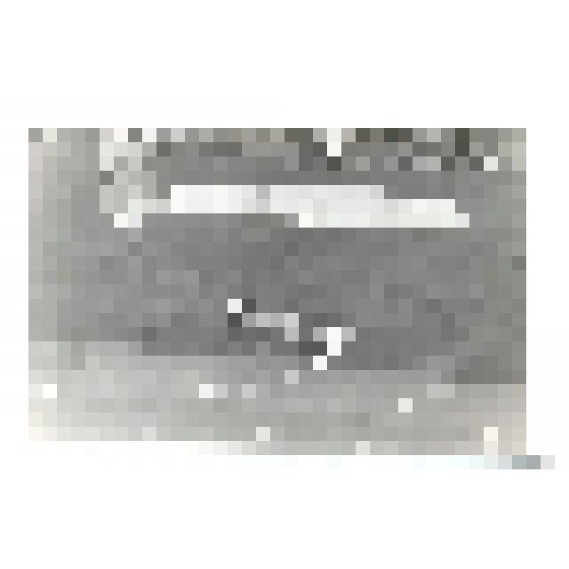 Фотография. Театрализованная постановка сказки "Щелкунчик" в дни проведения III-го Республиканского детского музыкального фестиваля