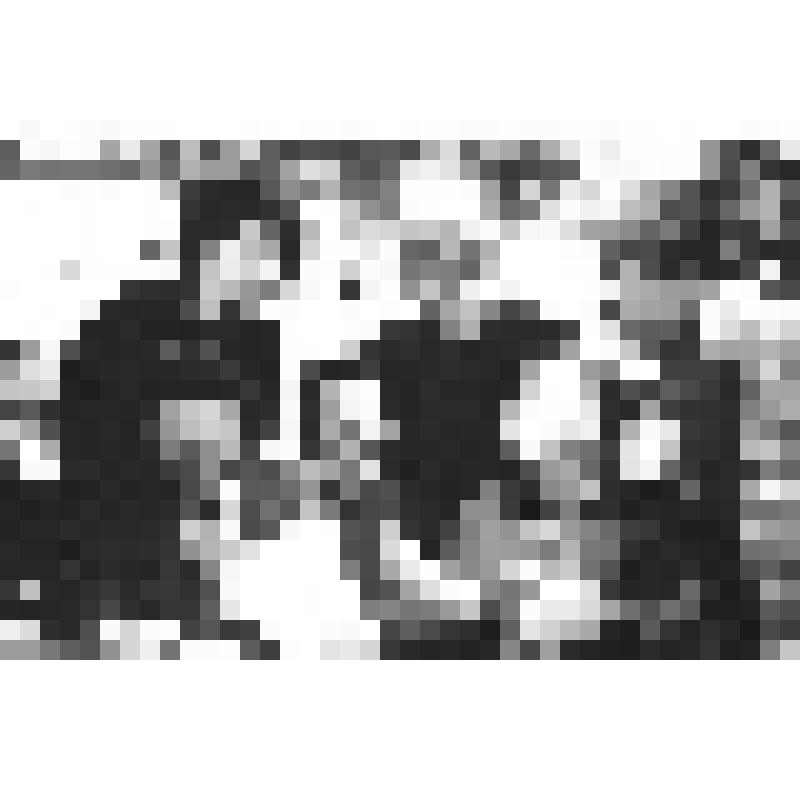 Фото. Творческая интеллигенция Чувашии