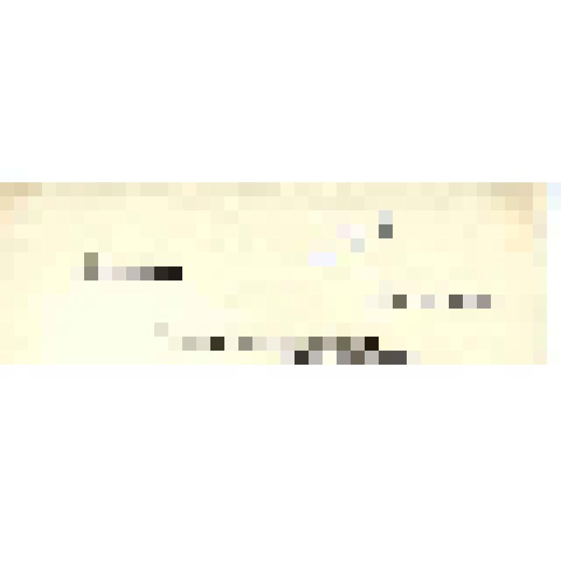 Письмо. Федин Константин Александрович. Адресат: Полонская Елизавета Григорьевна, г. Москва - Ленинград г. Машинописная копия