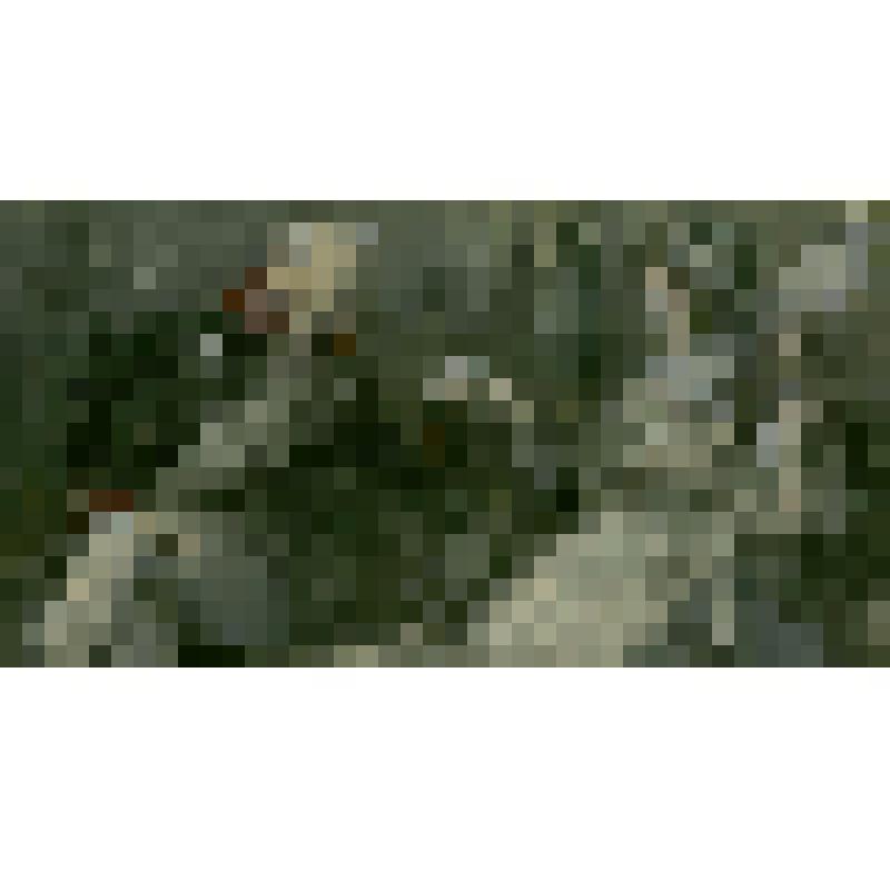 «Князь Василий и Анна Павловна Шерер»