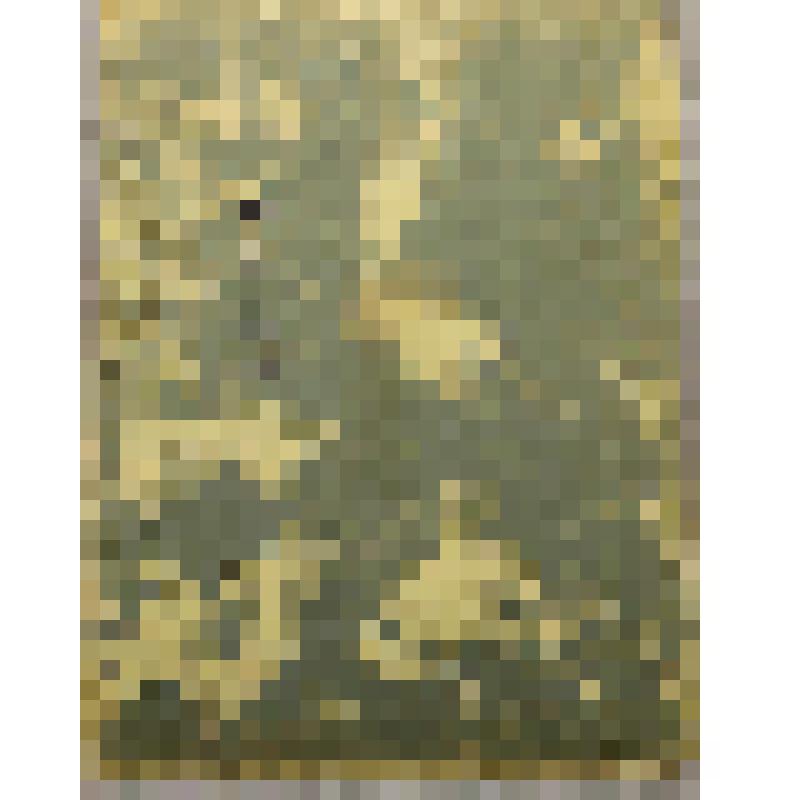 Фотография. Неизвестная женщина