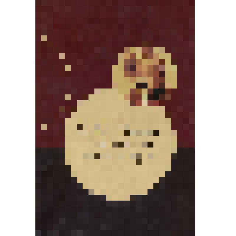 Книга. Н.В. Гоголь и славянские литературы. - Москва: Издательство "Индрик", 2012