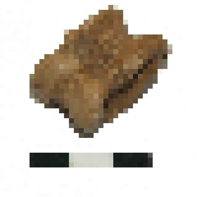 Альчик. Астрагал. Памятник Торопово-7