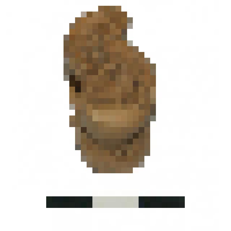 Альчик. Астрагал. Памятник Торопово-7