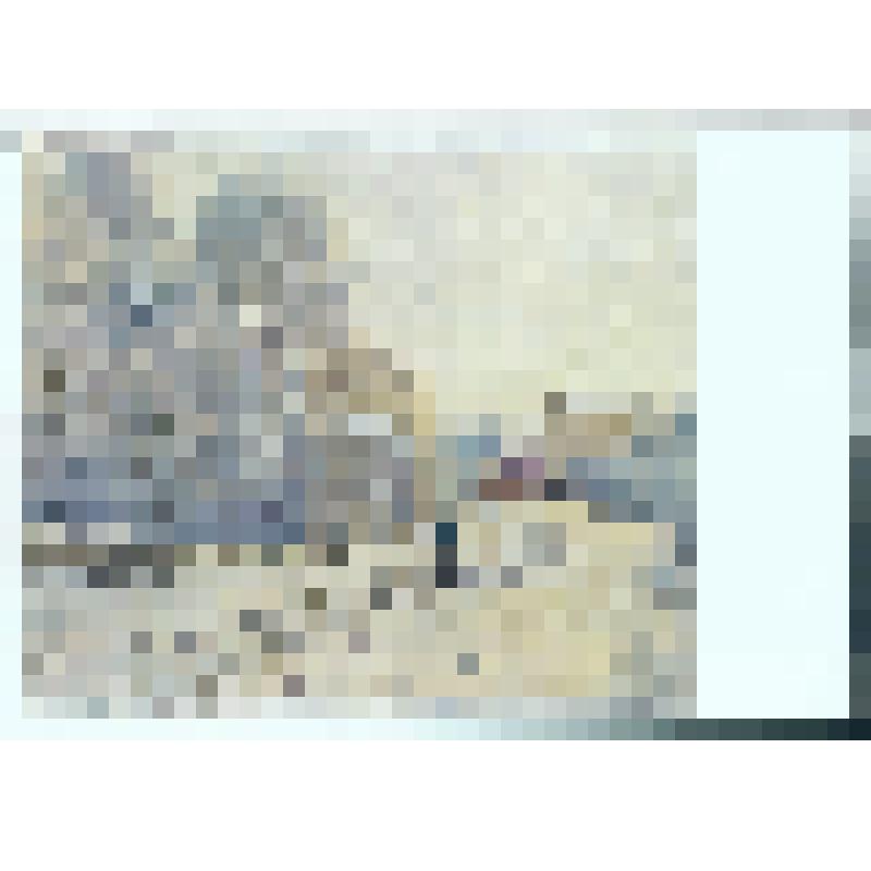 Снег в Аржантейле. 1875 г. Репродукция картины Клода Моне. Управление имуществом Французской республики