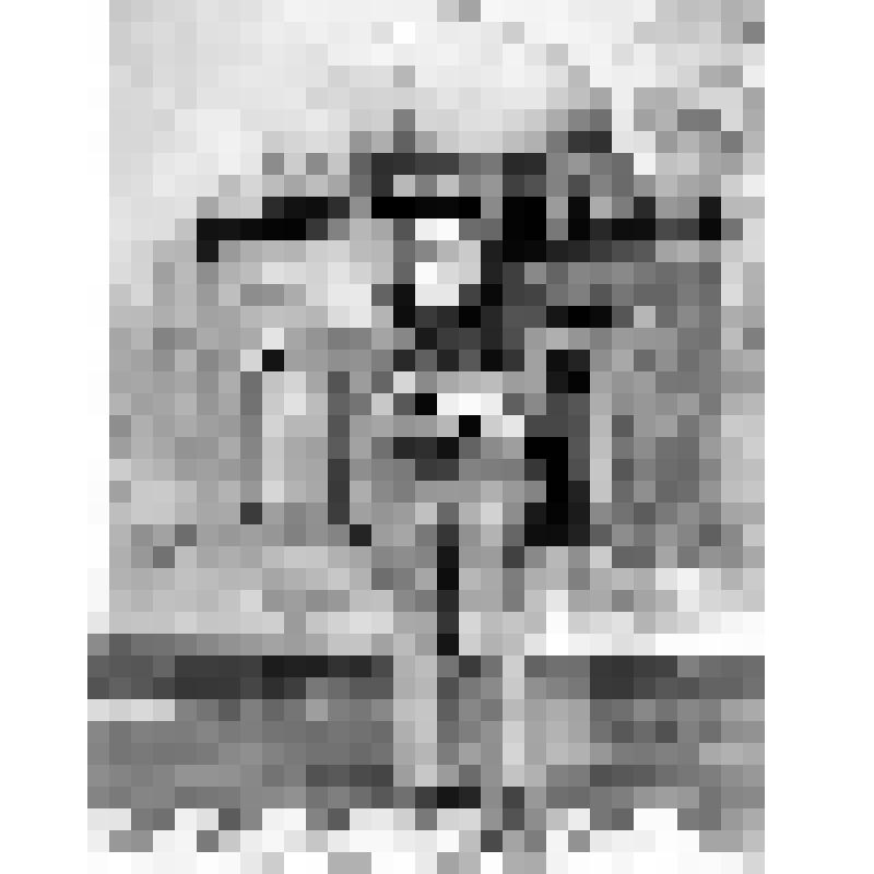 Фотография. Сухов Ф.Г. в Бухаре