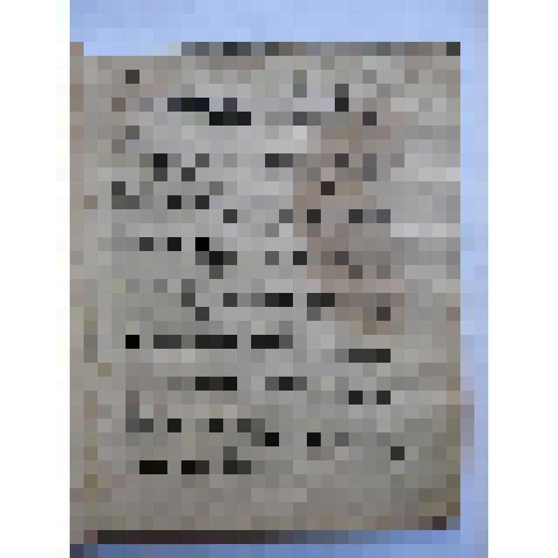 Житие Антония Римлянина