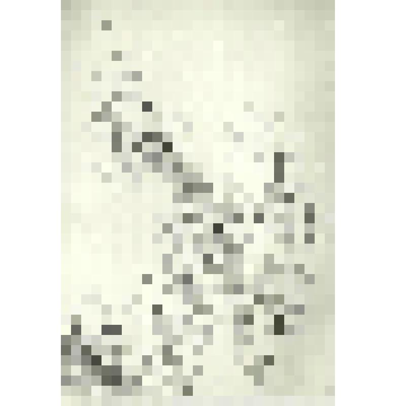 Фотография. "Снежные кружева"