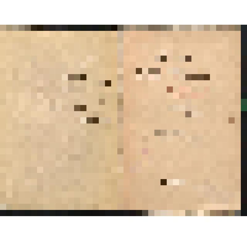 Книга. Жизнь и труды П. М. Строева