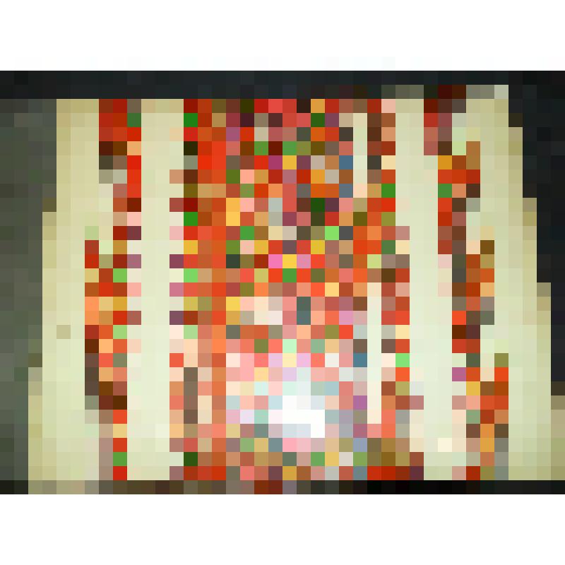 Альбом. Рапорт-эстафета полезных дел. К 50-летию образования СССР