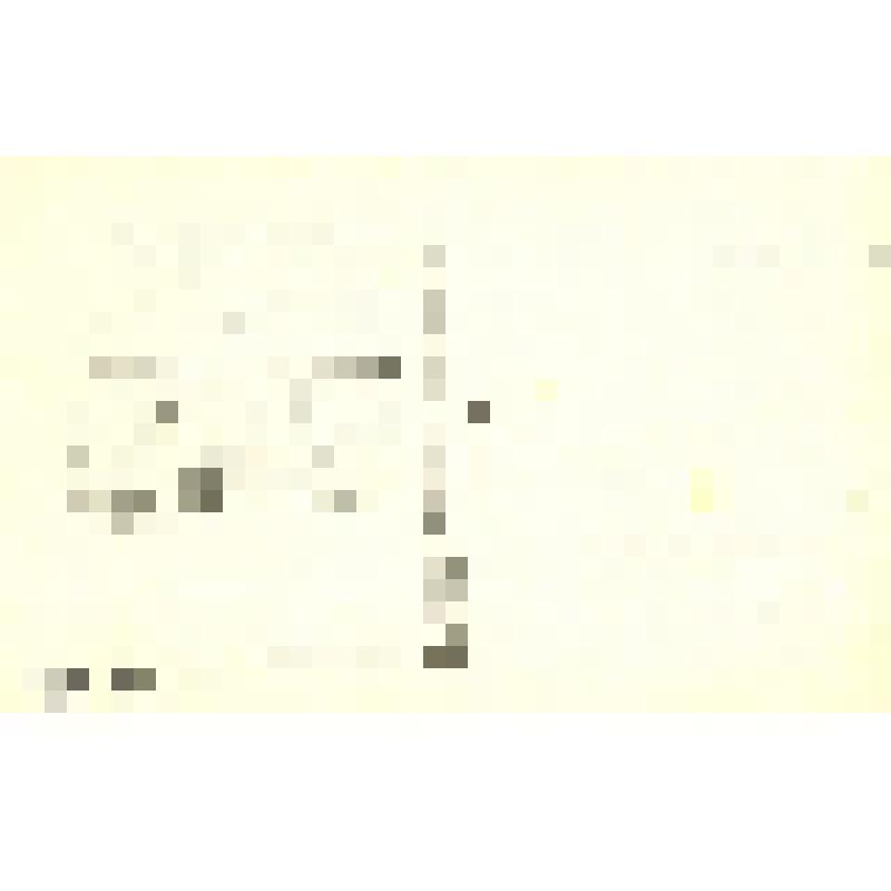 Фото-открытка. Изольда Извицкая