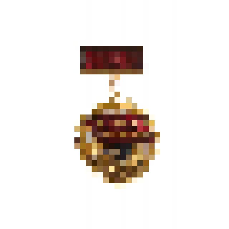 Знак "Победитель Социалистического соревнования 1978 г". Лесниченко А. С