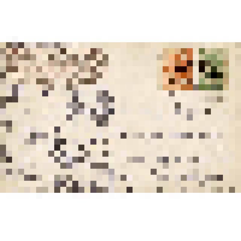 Открытое письмо "Женский портрет"