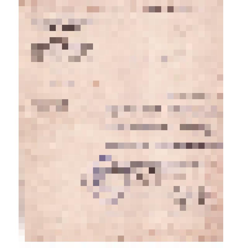 Мандат, выданный ВЦИК Н.П. Кудряшову