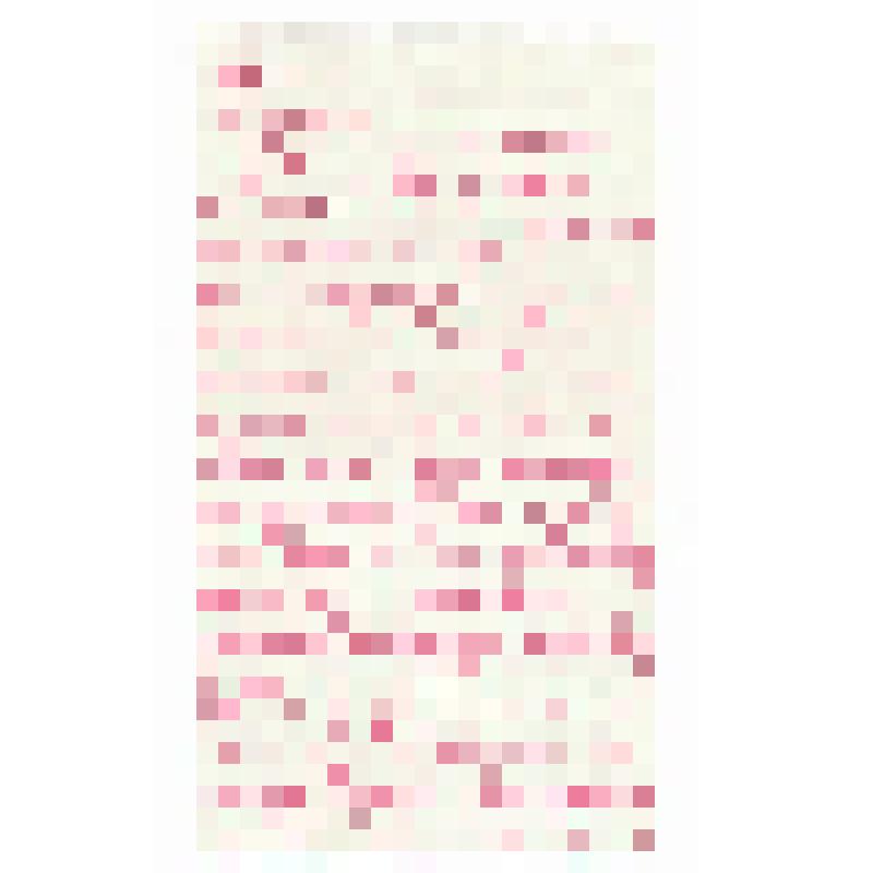 Письмо М.И. Калинину от дочери Лидии